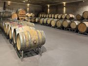 Impressionen: Genusskultur und Spitzenweingüter in Baden-Württemberg