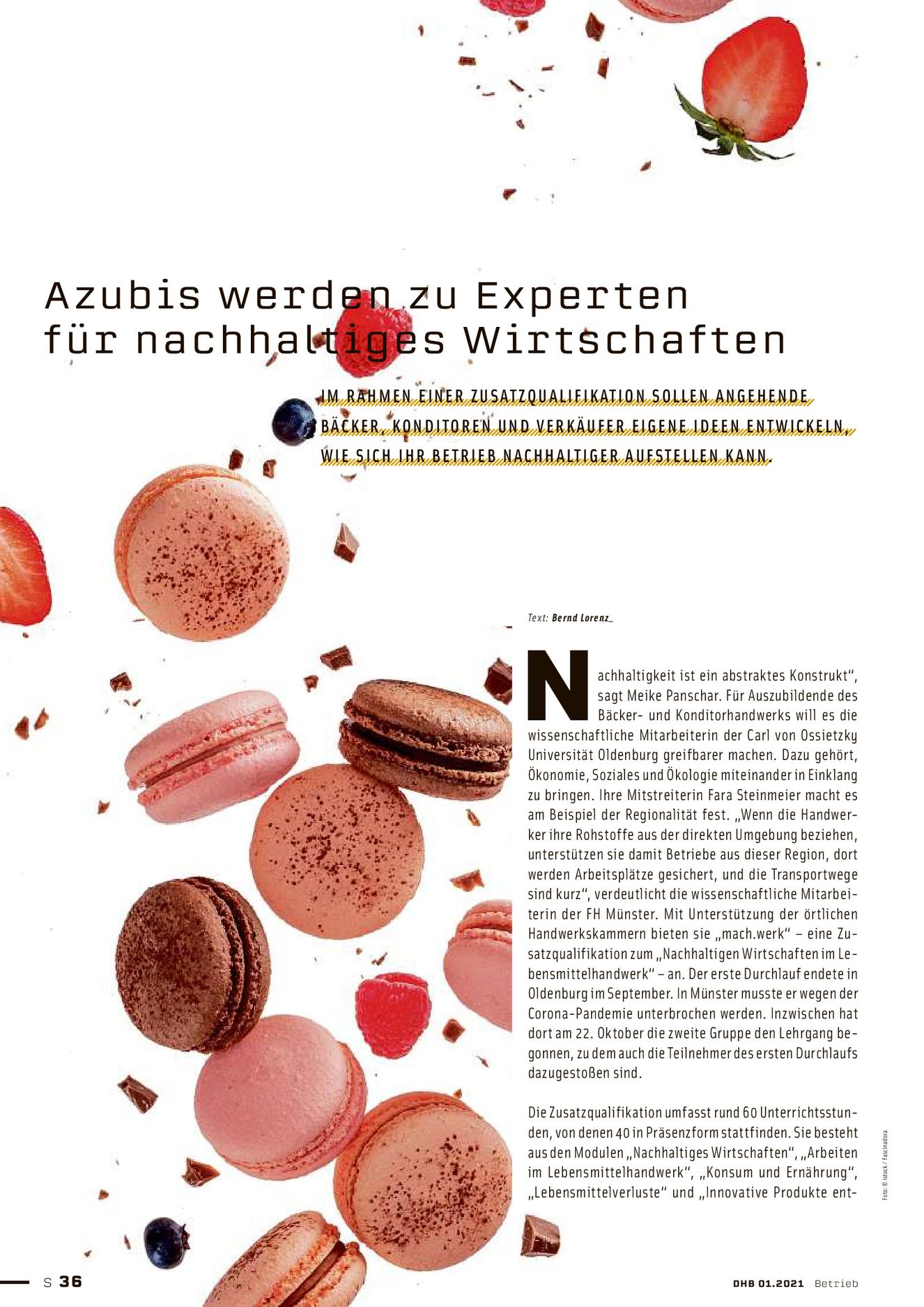 Verlagsanstalt Handwerk GmbH