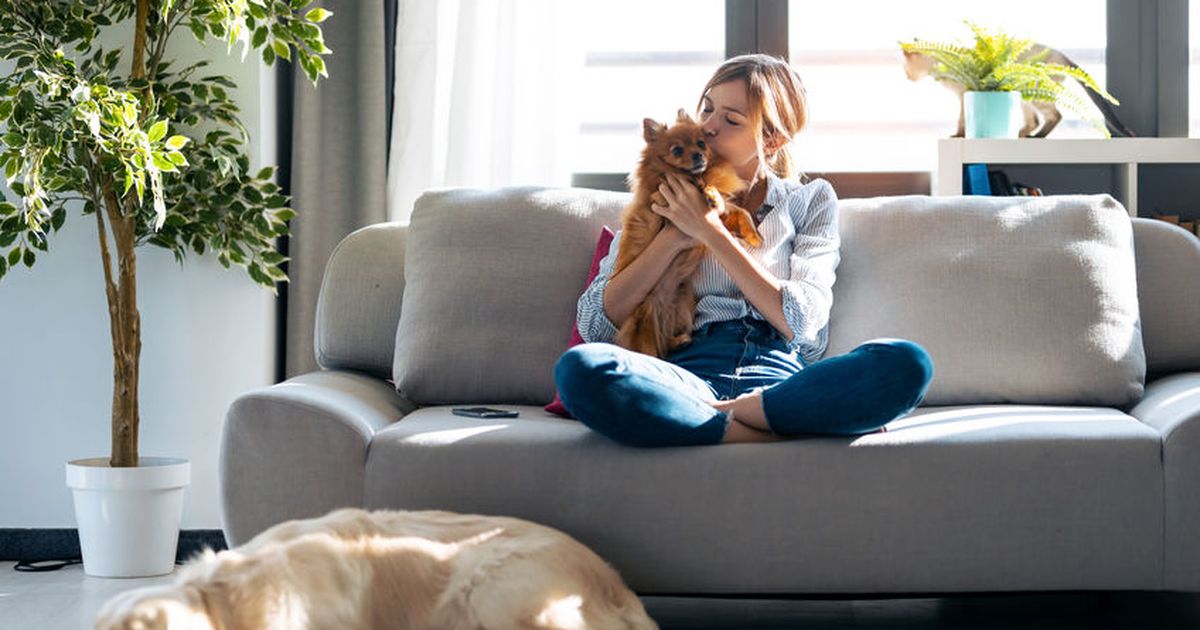 Silvester: Wie auch Haustiere gut ins neue Jahr kommen