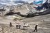 "Climate Trek" in Nepal: Alle Lodges entlang der nahezu klimaneutral begehbaren Trekkingroute durch die Helambu-Region wurden nach dem Erdbeben 2015 neu aufgebaut, um den Einheimischen langfristig Einkünfte zu sichern.