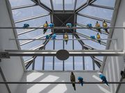 Impressionen: "Interactions" in der Bundeskunsthalle