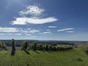 Impressionen: Genusskultur und Spitzenweingüter in Baden-Württemberg