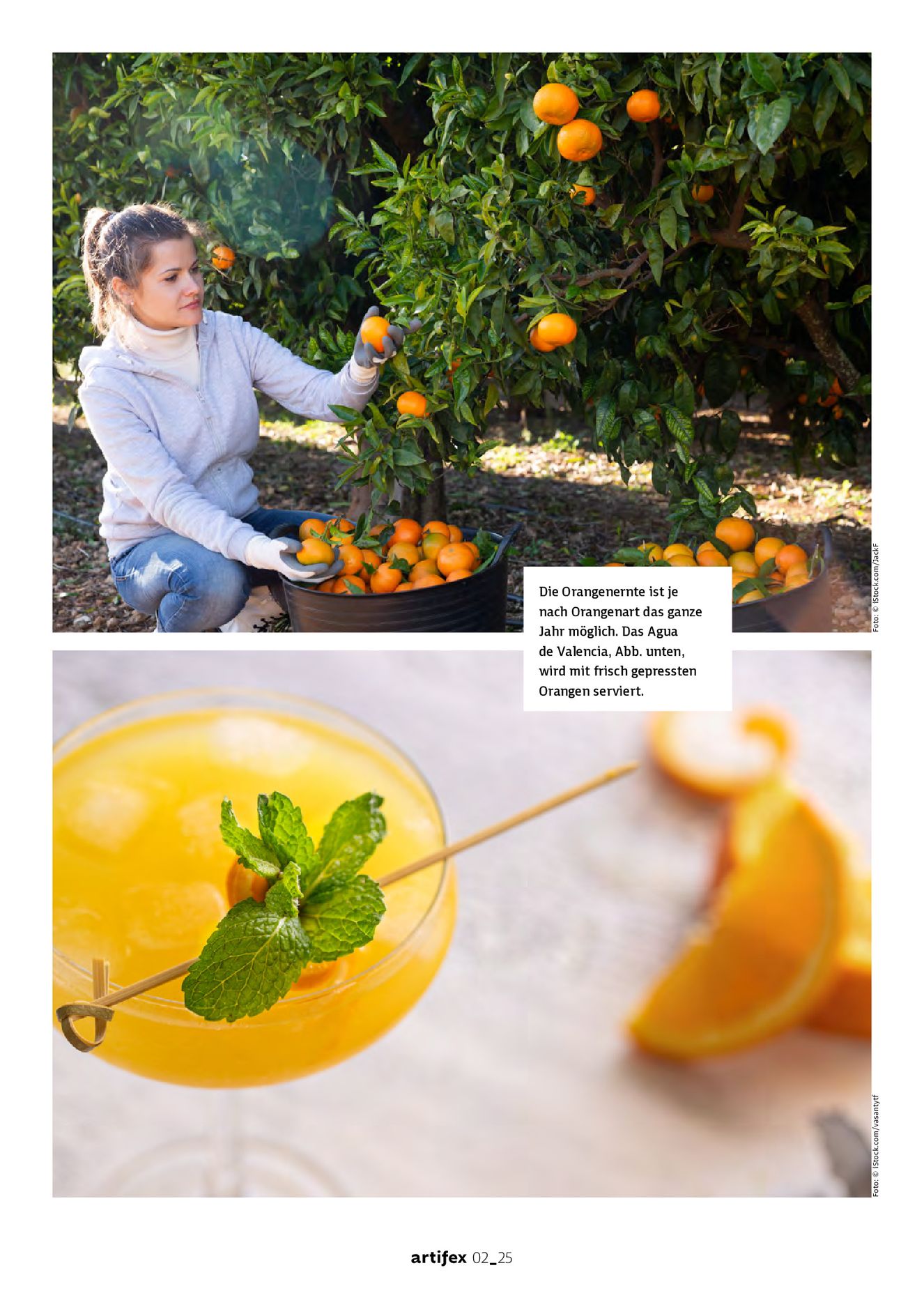 Verlagsanstalt Handwerk GmbH