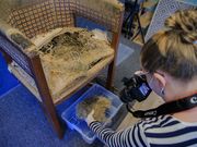 Pionierin im Raumausstatterhandwerk