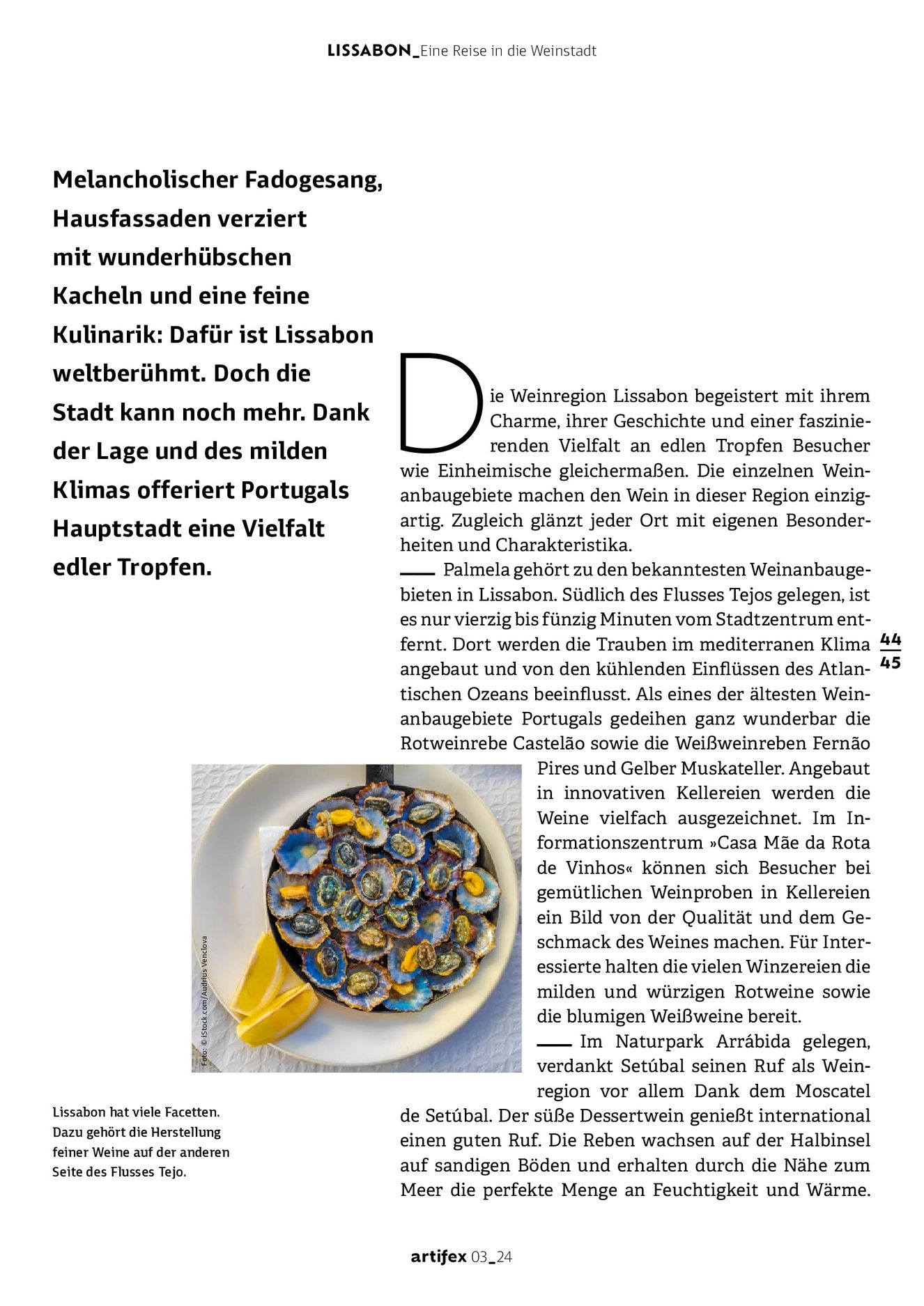 Verlagsanstalt Handwerk GmbH