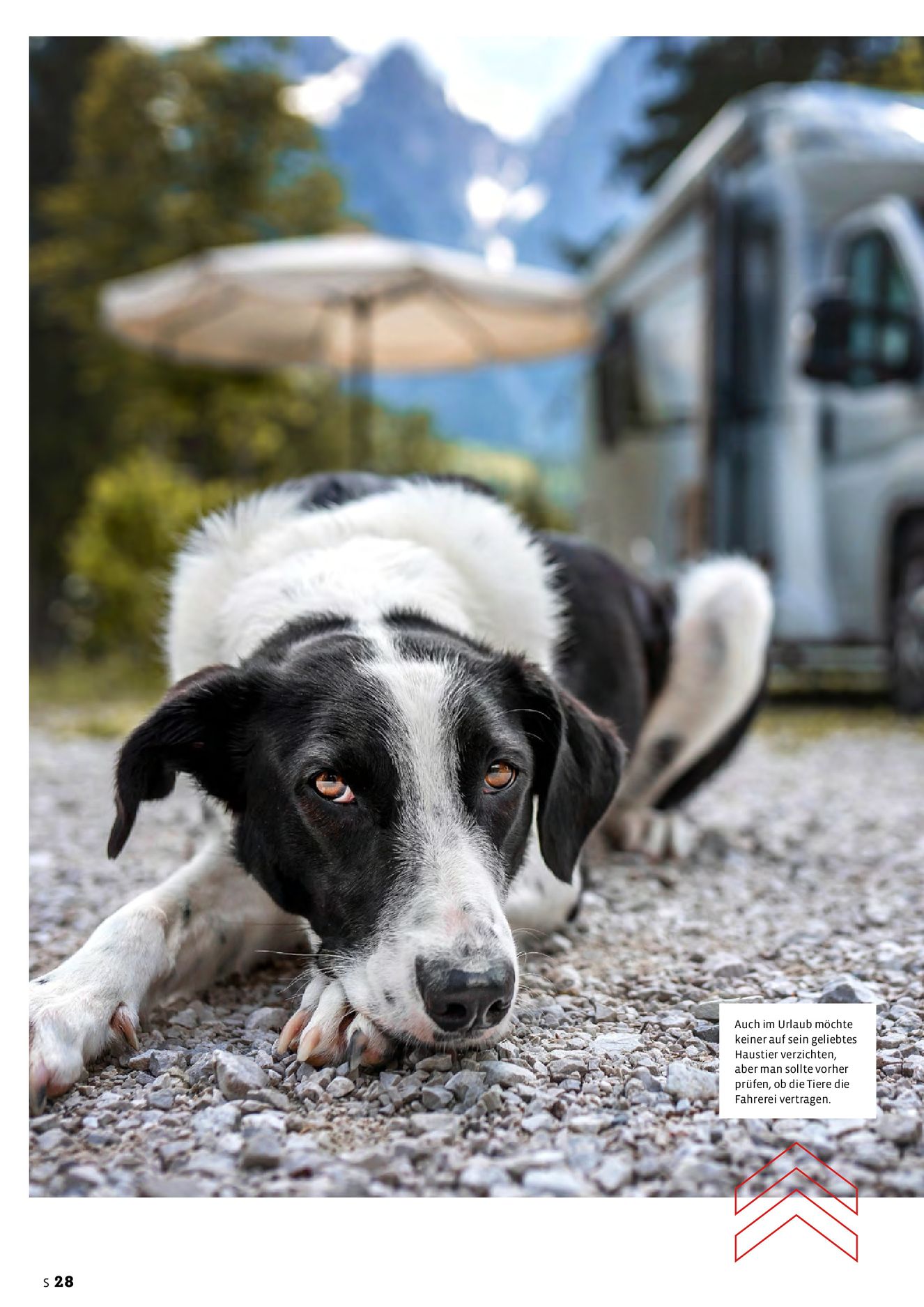 Verlagsanstalt Handwerk GmbH