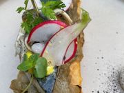 Auf den Pfaden der Römer in Südfrankreich