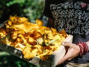 Schlössertraum an der Dordogne
