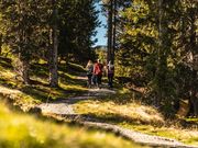 Digital Detox in Saalfelden Leogang