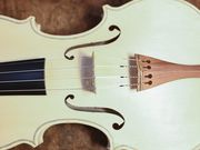 Vier Azubis bauen eine nachhaltige Wochenendgeige