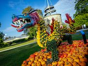 Rückblick: Kürbisausstellung 2024 im egapark Erfurt