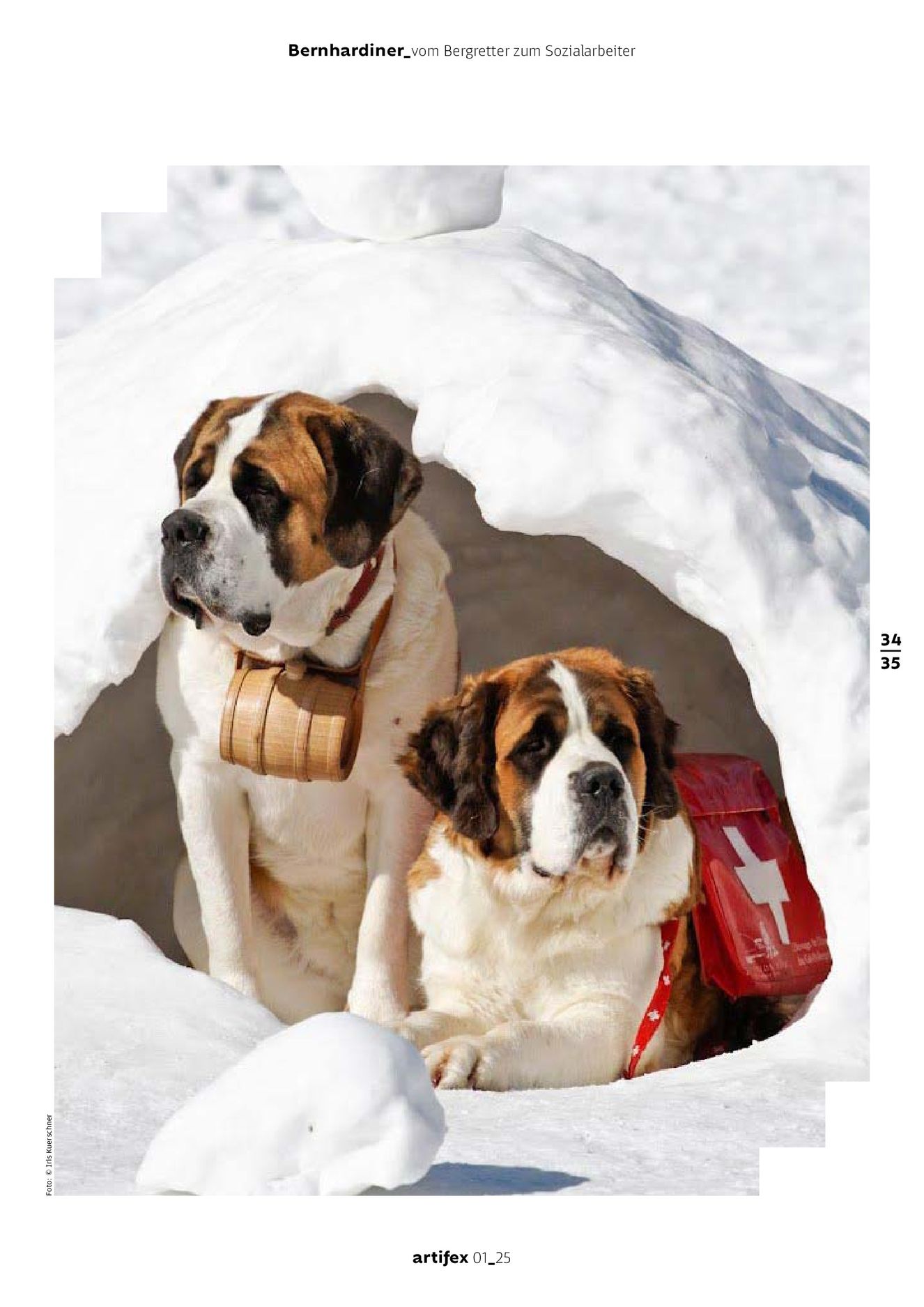 Verlagsanstalt Handwerk GmbH