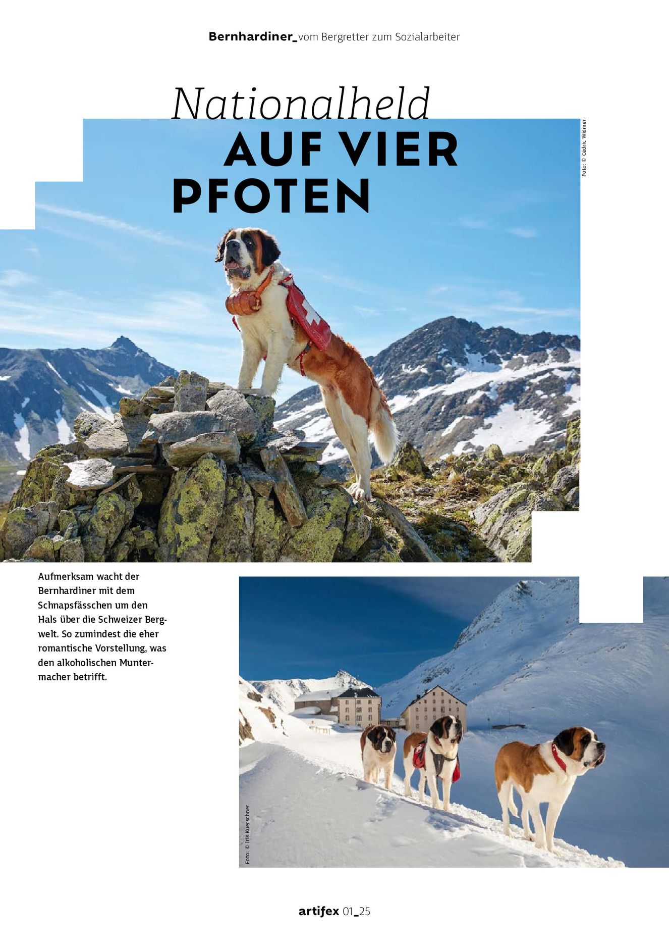 Verlagsanstalt Handwerk GmbH