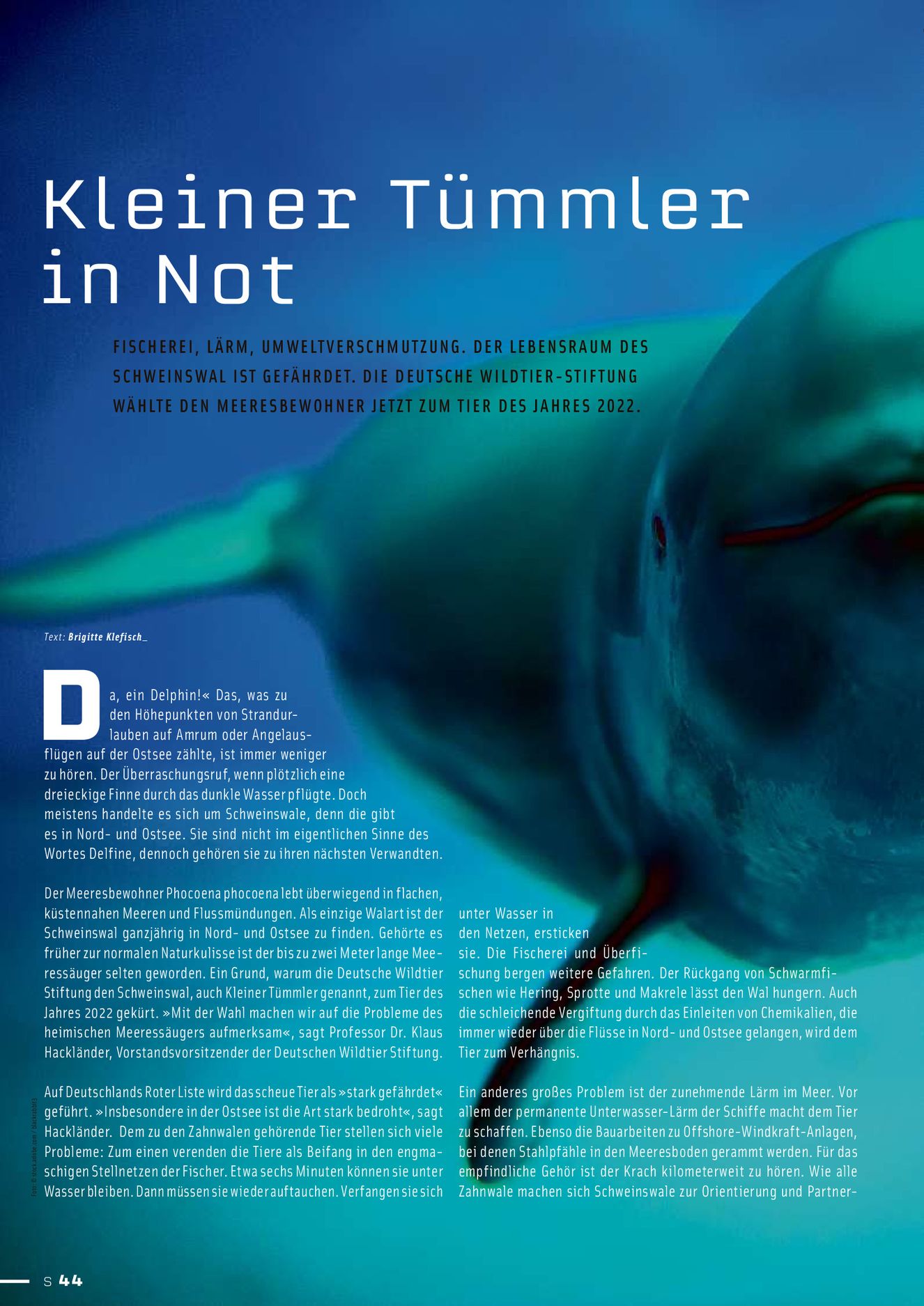 Verlagsanstalt Handwerk GmbH