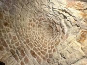 Unterwegs in Alberobello