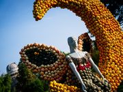 Rückblick: Kürbisausstellung 2024 im egapark Erfurt