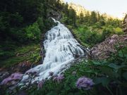 Digital Detox in Saalfelden Leogang
