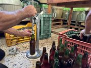 Wie die Tomate in die Flasche kommt