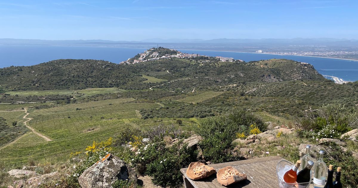 Costa Brava: Fische, Fliegen und schräge Vögel