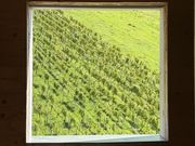 Impressionen: Genusskultur und Spitzenweingüter in Baden-Württemberg