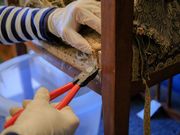 Pionierin im Raumausstatterhandwerk