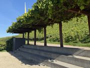 Impressionen: Genusskultur und Spitzenweingüter in Baden-Württemberg