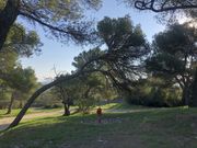 Reise durch das schöne Avignon