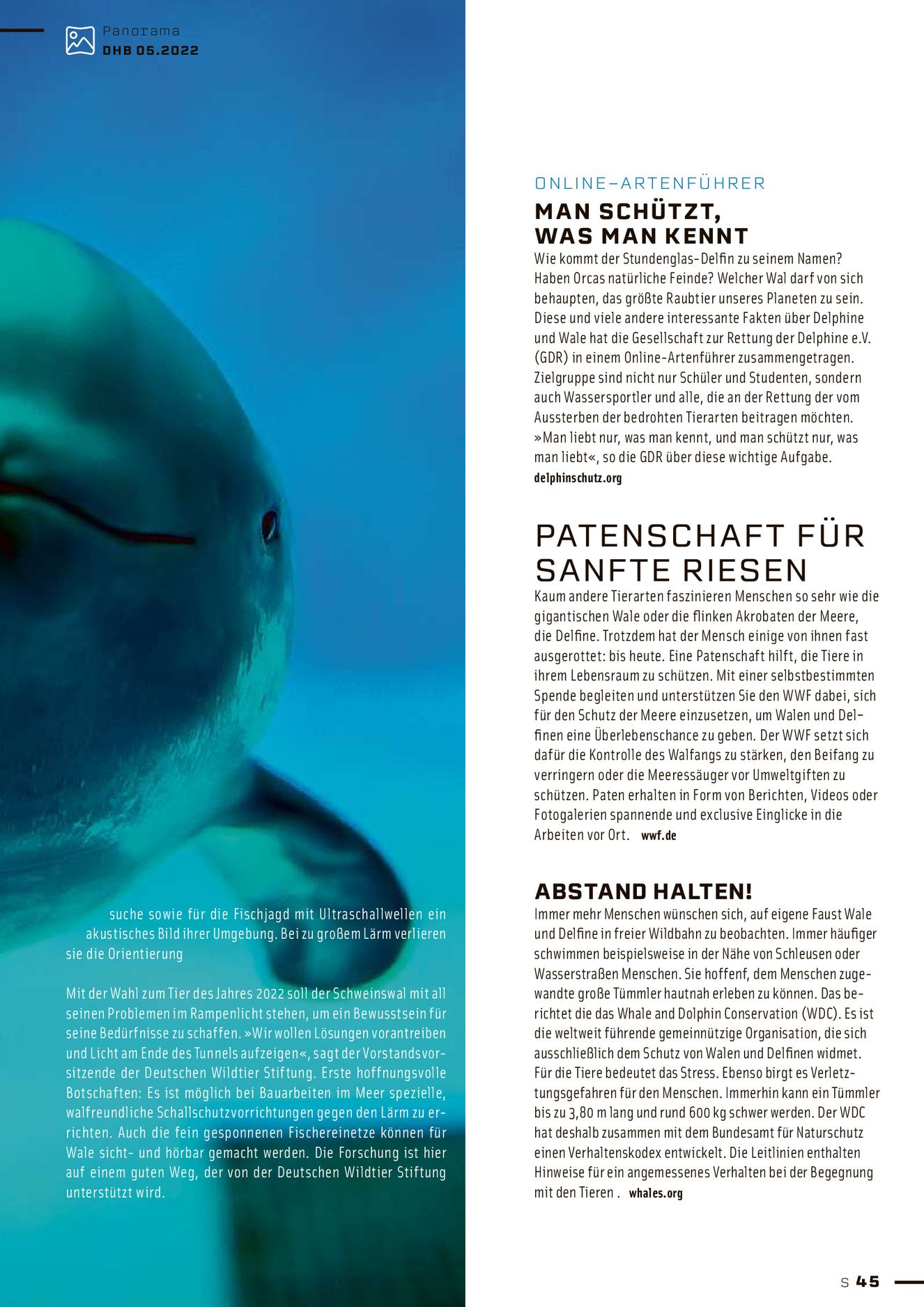 Verlagsanstalt Handwerk GmbH