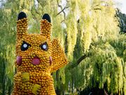 Rückblick: Kürbisausstellung 2024 im egapark Erfurt