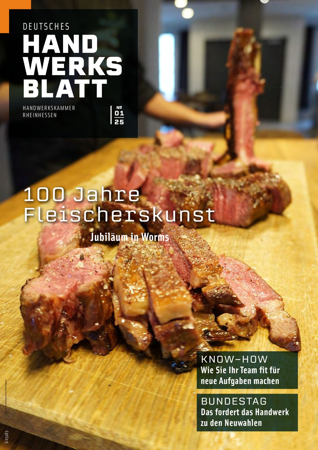 Verlagsanstalt Handwerk GmbH