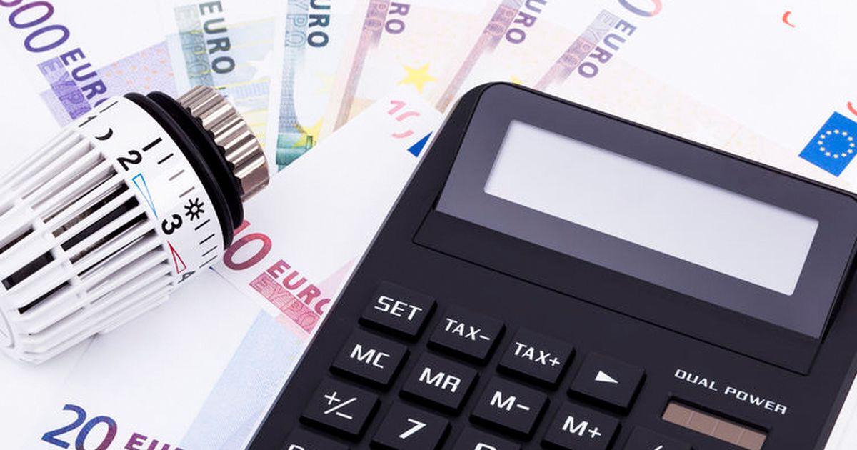 Flat-rate energy price allowance: Taxation is constitutional