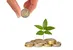 Foto: © marigranula/123RF.com