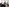 Europe, Rotterdam and Artificial Intelligence