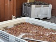 Impressionen: Genusskultur und Spitzenweingüter in Baden-Württemberg