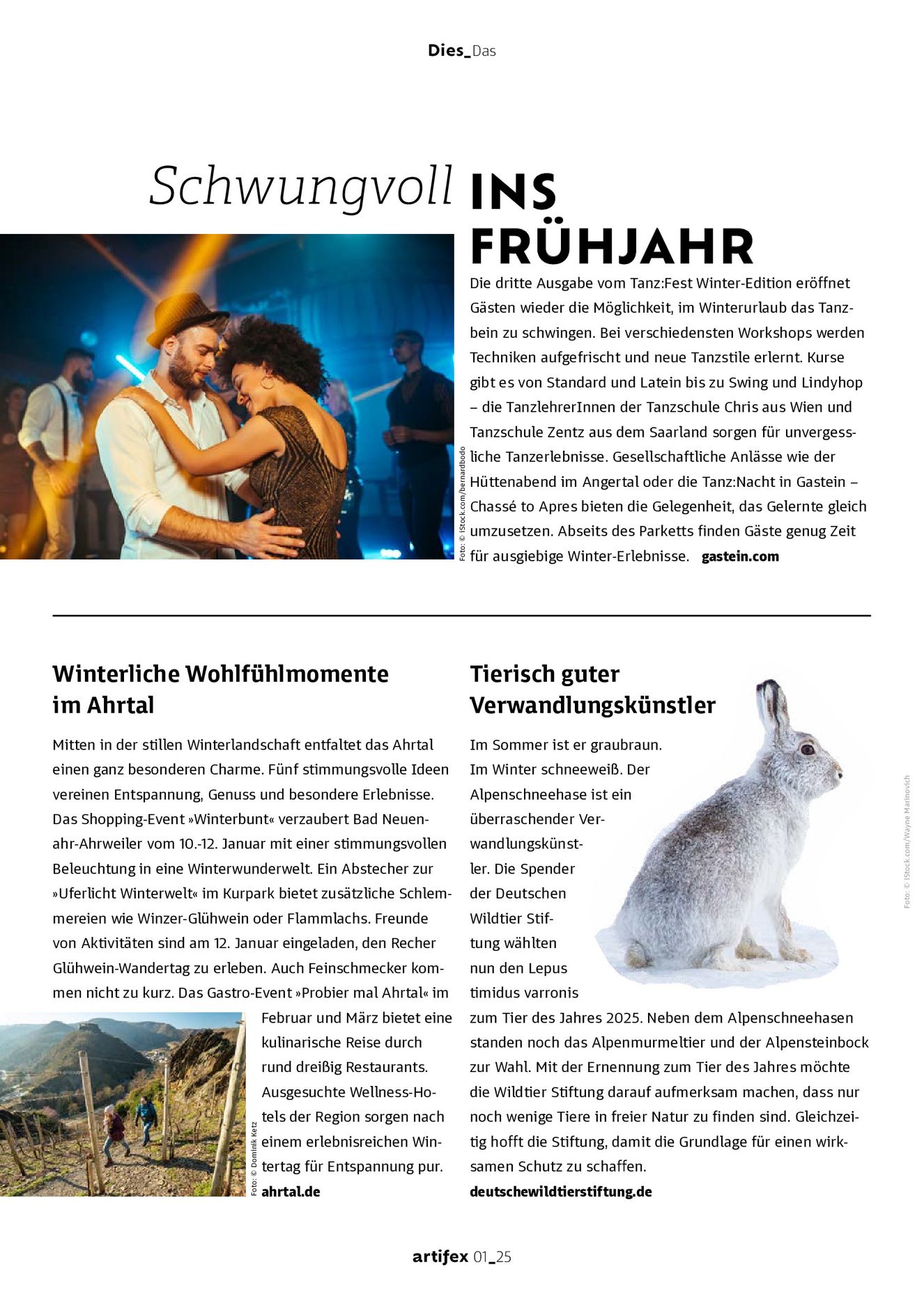 Verlagsanstalt Handwerk GmbH