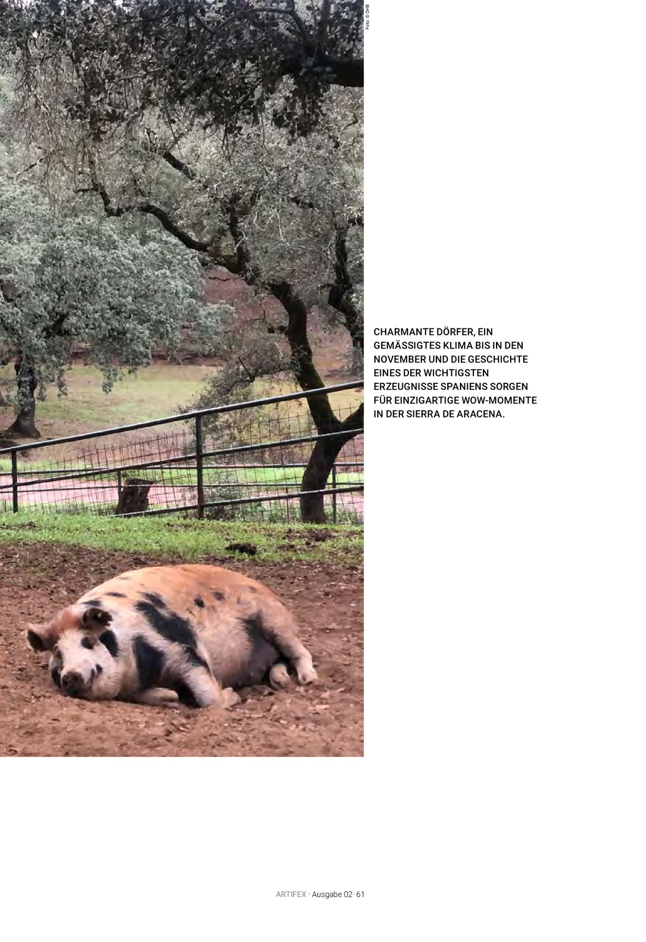 Verlagsanstalt Handwerk GmbH