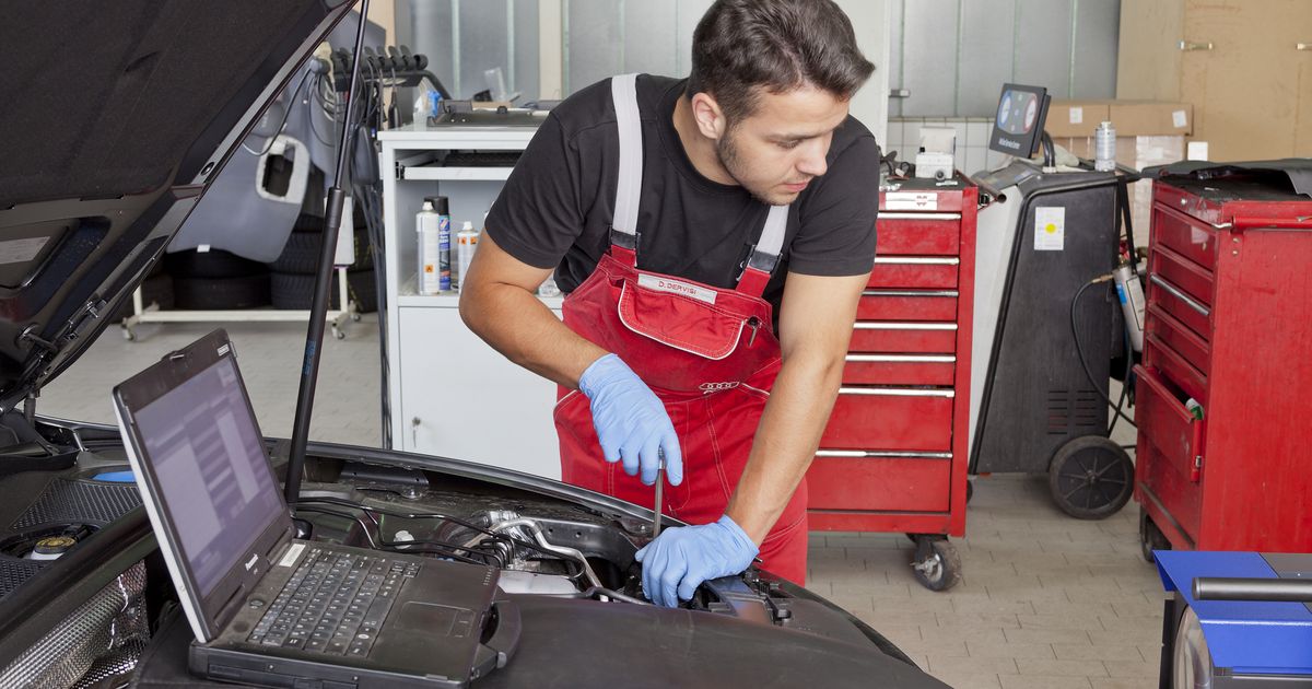 These are the most popular apprenticeships