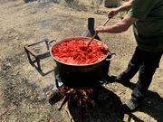 Wie die Tomate in die Flasche kommt