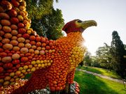 Rückblick: Kürbisausstellung 2024 im egapark Erfurt