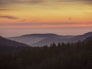 Der Löwe von Belfort - selbstbewusst und unbesiegbar