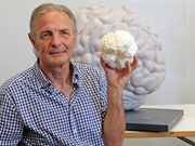 "Gehirne" im Senckenberg Forschungsinstitut und Naturmuseum Frankfurt