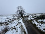 Sturmhöhe in Nebel und Schnee: Ein Besuch in den Yorkshire Dales