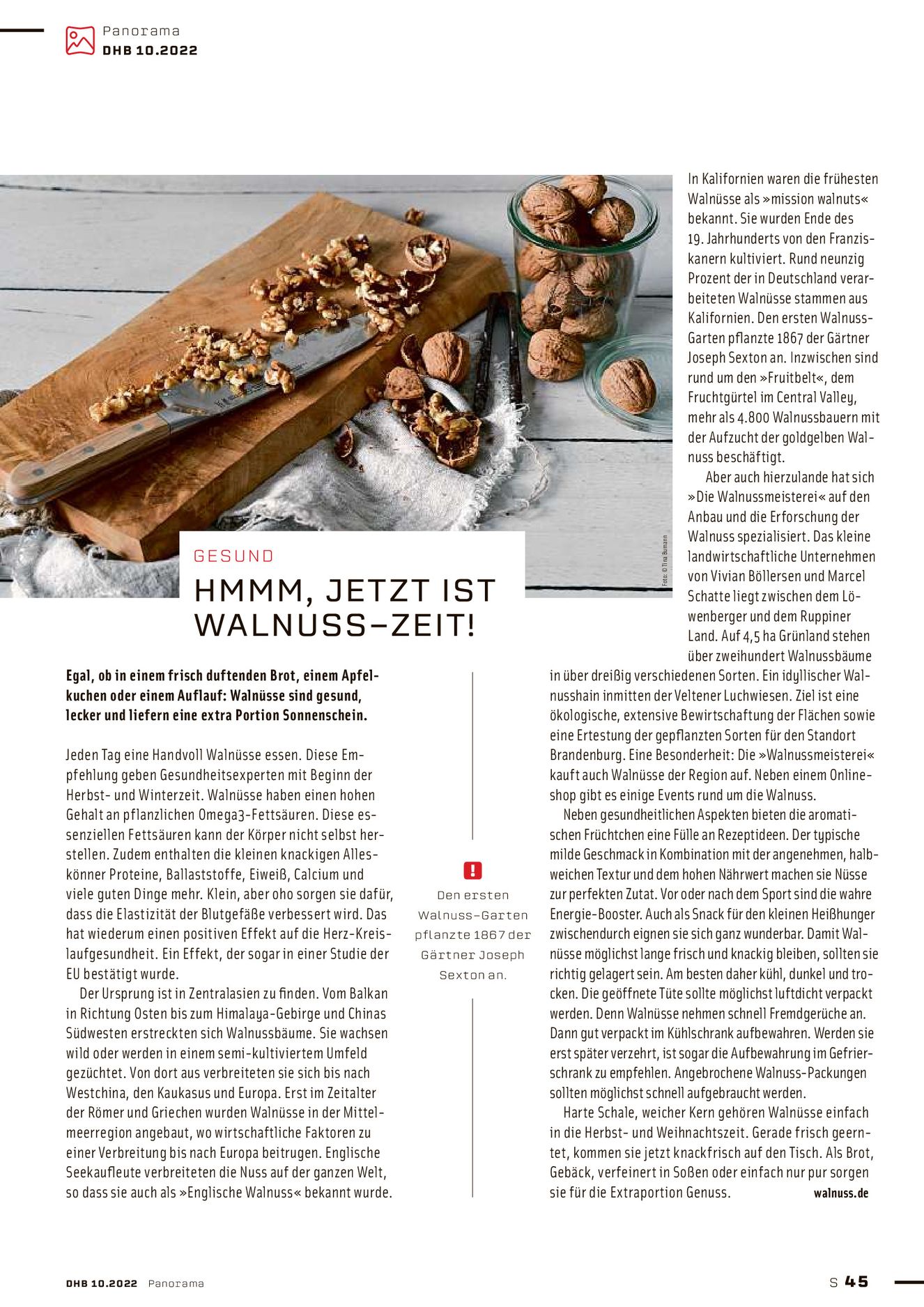 Verlagsanstalt Handwerk GmbH