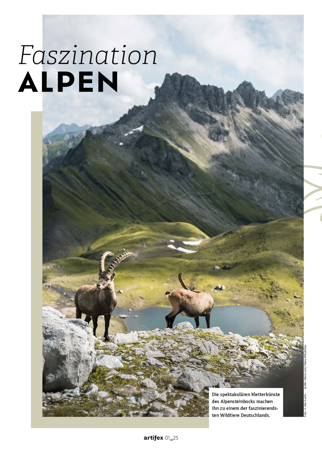 Verlagsanstalt Handwerk GmbH