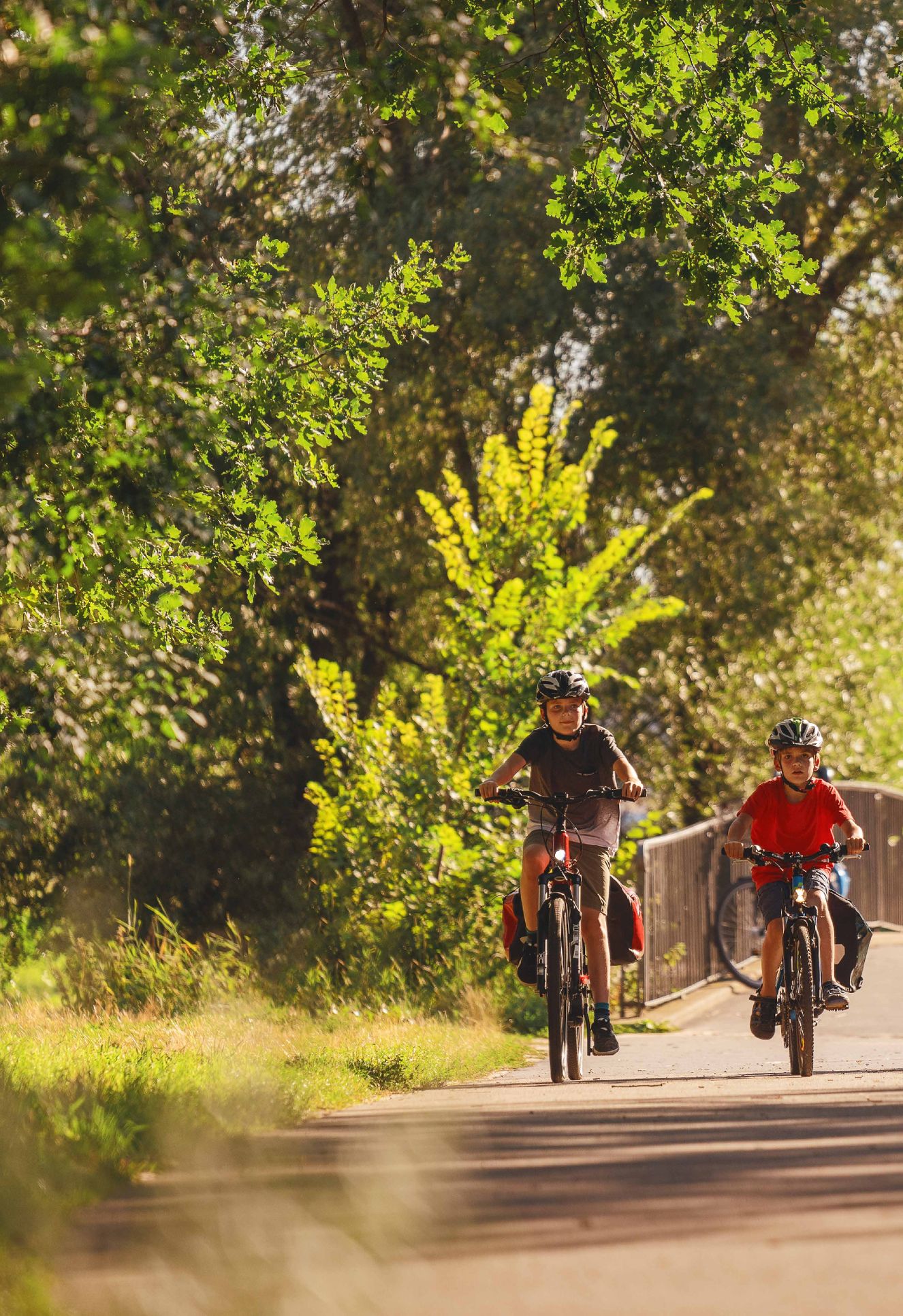 Verlagsanstalt Handwerk GmbH