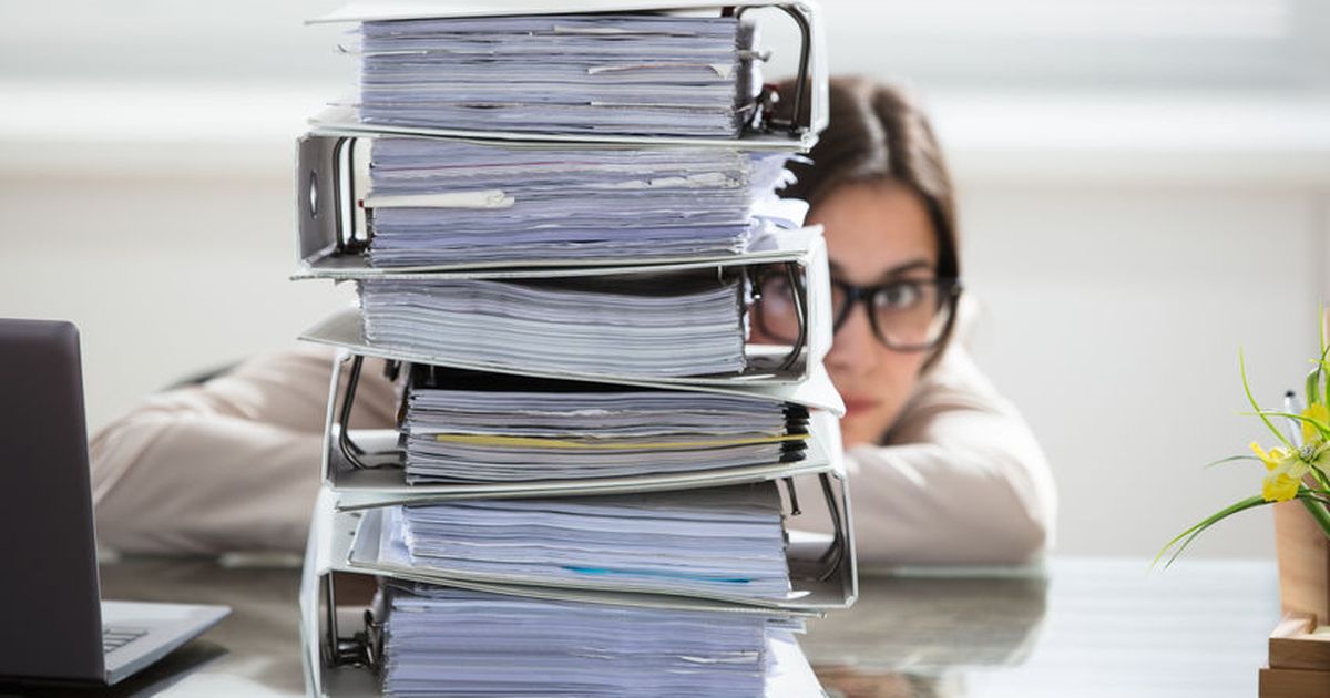 Zu viel Bürokratie? Neues Meldeportal des Bundes