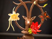 Championnat du Chocolat 2024