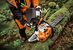 Foto: © STIHL