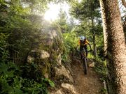 Digital Detox in Saalfelden Leogang