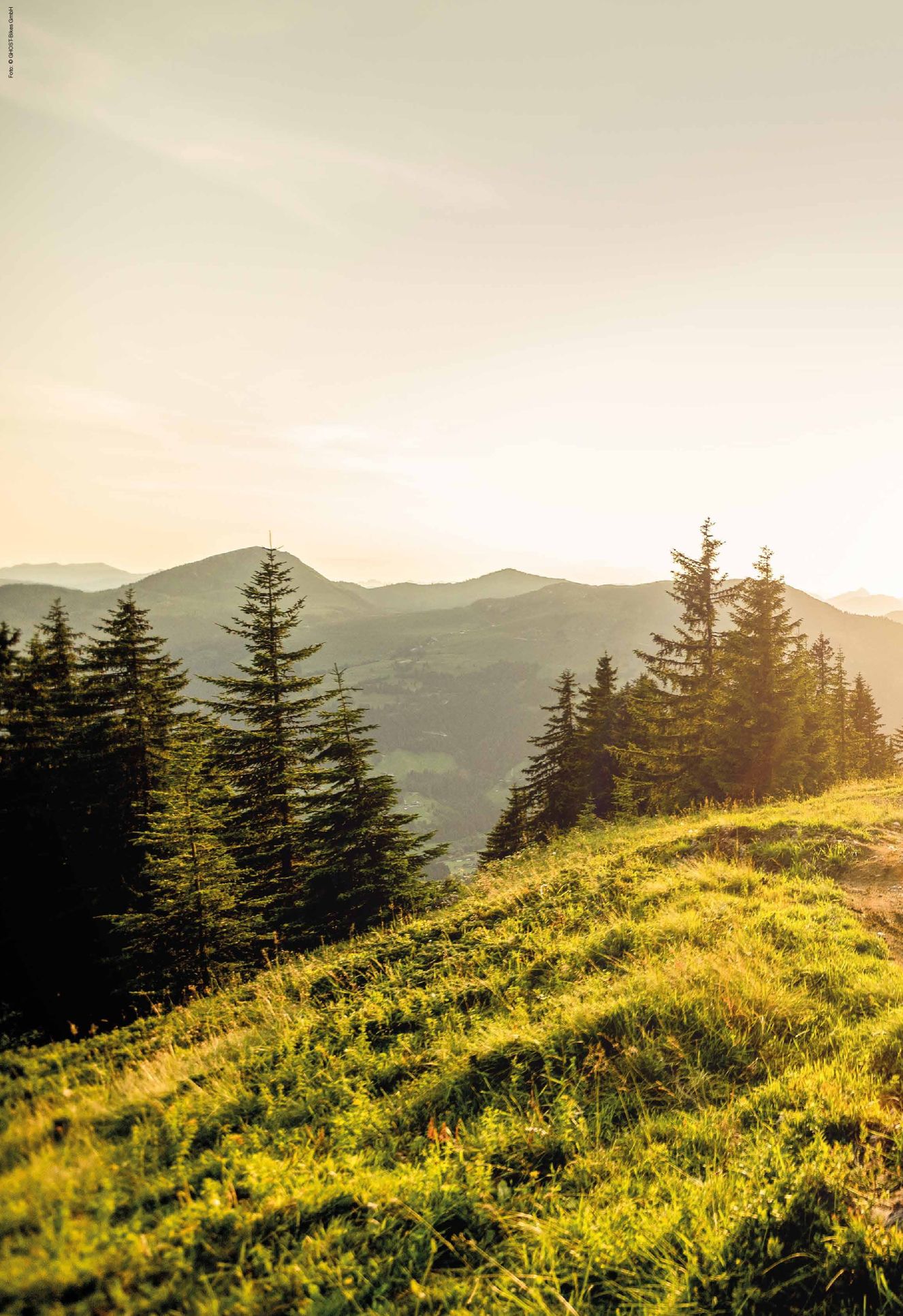 Verlagsanstalt Handwerk GmbH